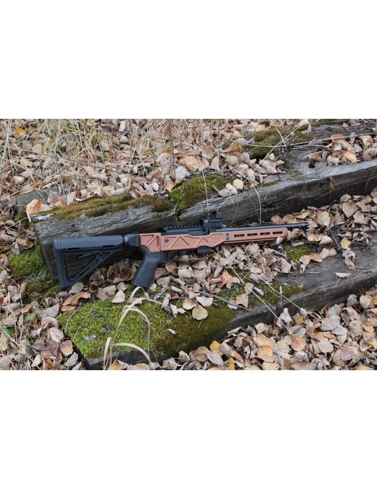 Spectre G3 10/22 Chassis